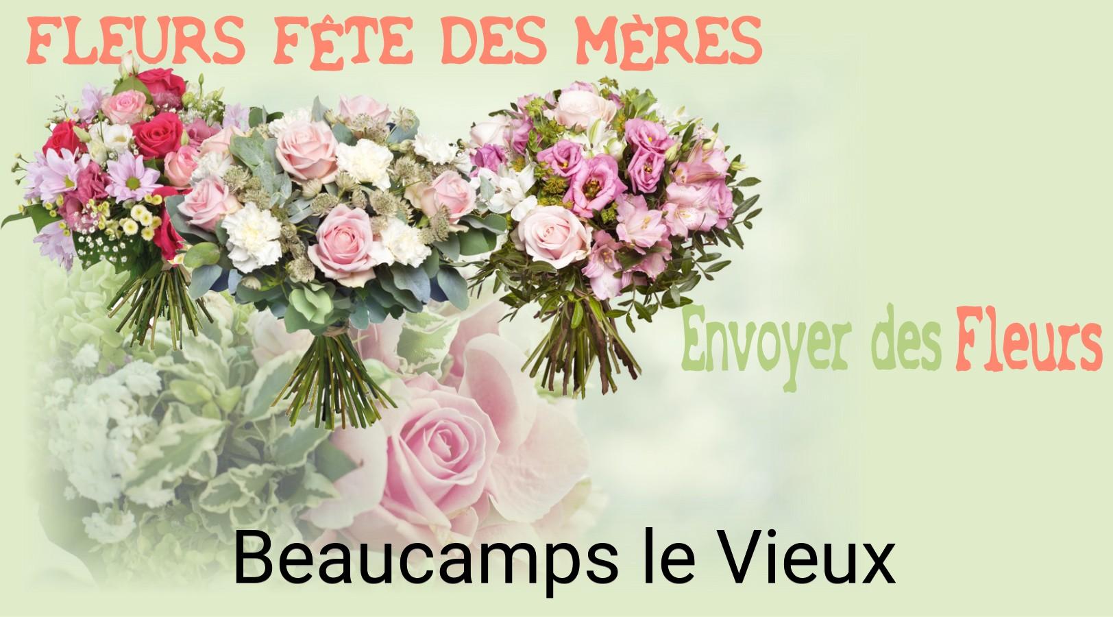 Bouquet de Fête des Mères livré à Beaucamps-le-Vieux